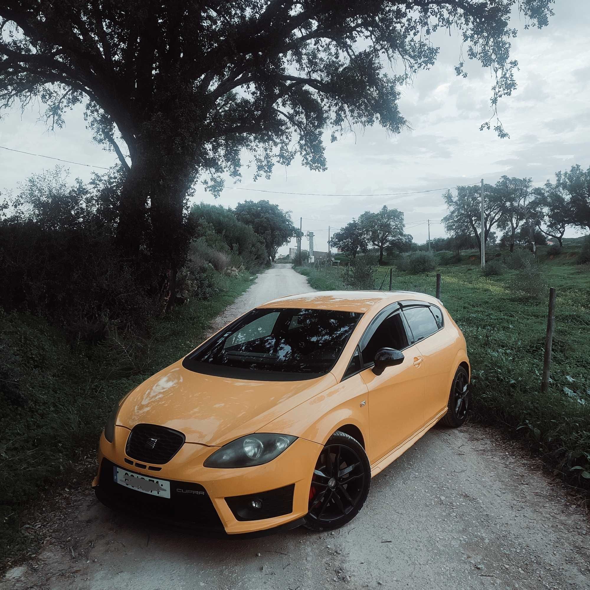 Seat Leon Cupra MK2
