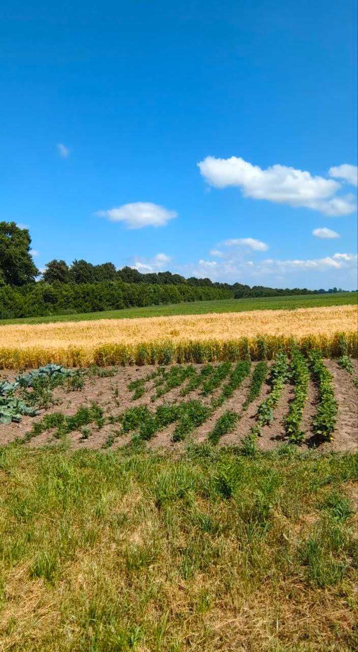 Продаж будинку в с.Синів