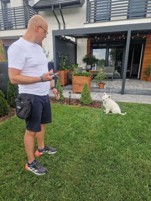 Trening psów. Szkolenie psów. Psie Przedszkole, trener Kraków