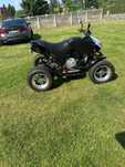 Bashan bs300 homologacja