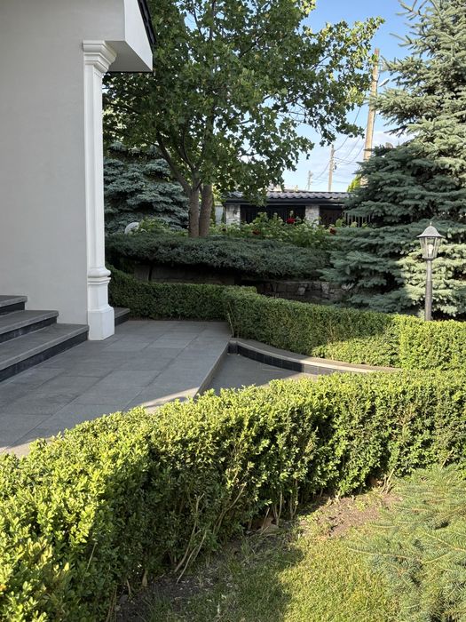 Догляд та озеленення ділянки під ключ Івано-франківськ та область