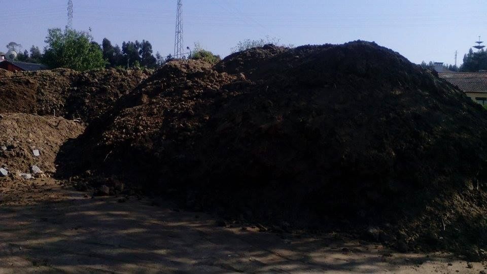 Terra preta para jardim