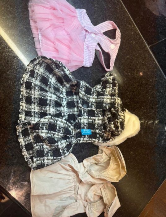 Conjunto roupa Chihuahua (cadela ou gata de porte pequeno)