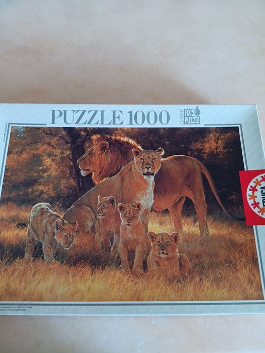 Vários  jogos  de entretenimento