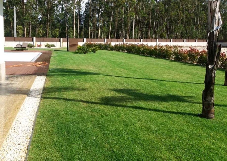 Corte de relva e manutenção de jardins