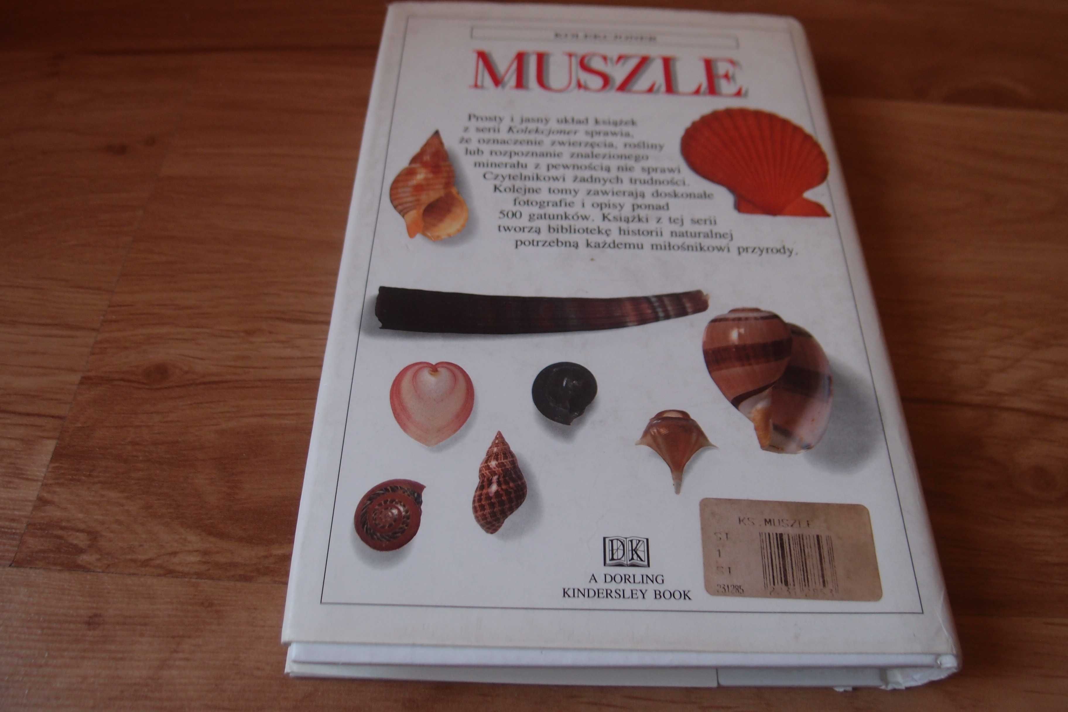 Muszle S.Peter Dance - seria kolekcjoner