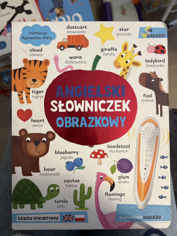 Angielski słowniczek obrazkowy