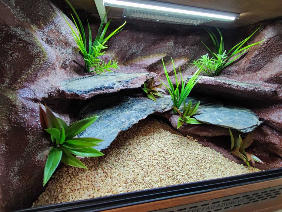 Terrarium pustynne nr645 60/40/40 dla gekona lamparciego NA ZAMÓWIENIE