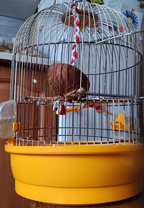 Klatka dla ptaka oddam za darmo papugi