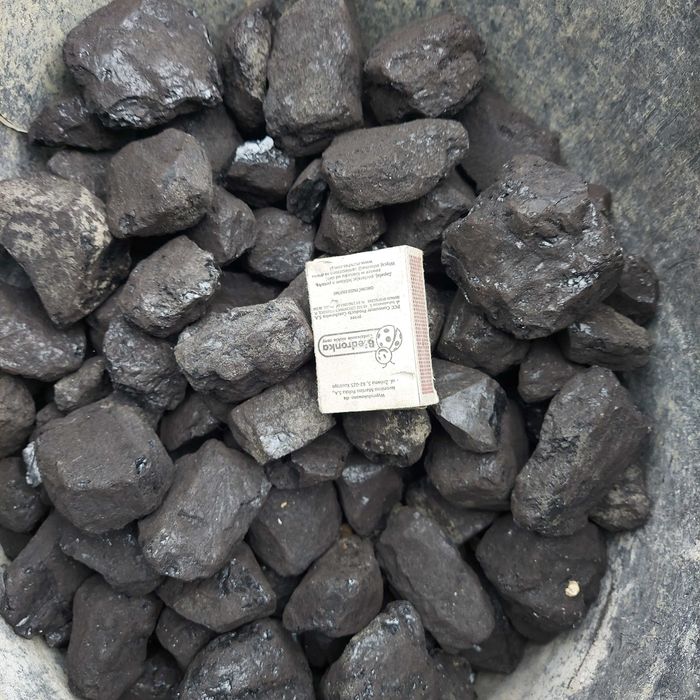 Eko groszek orzech węgiel SOBIANEK Lew Pantera Tygrys Tytan Promocja !