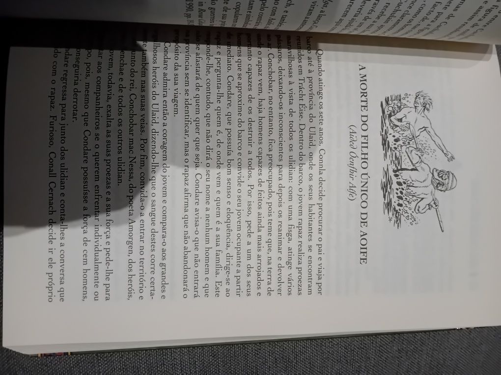 Mitos e Lendas Celtas • Angélica Varandas