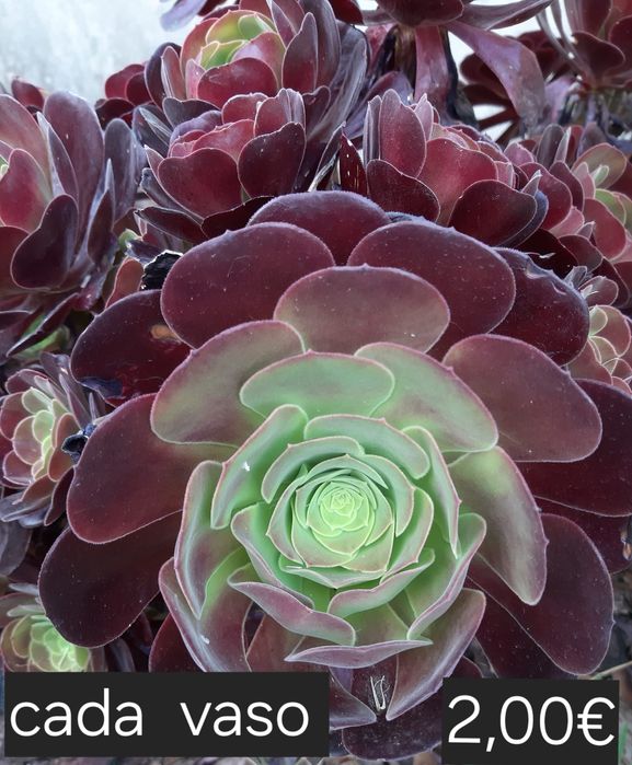 Queima incenso estanho puro 95%