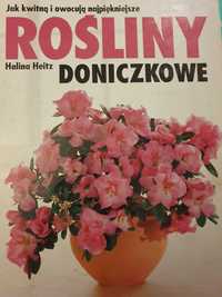 Książka " Rośliny doniczkowe"