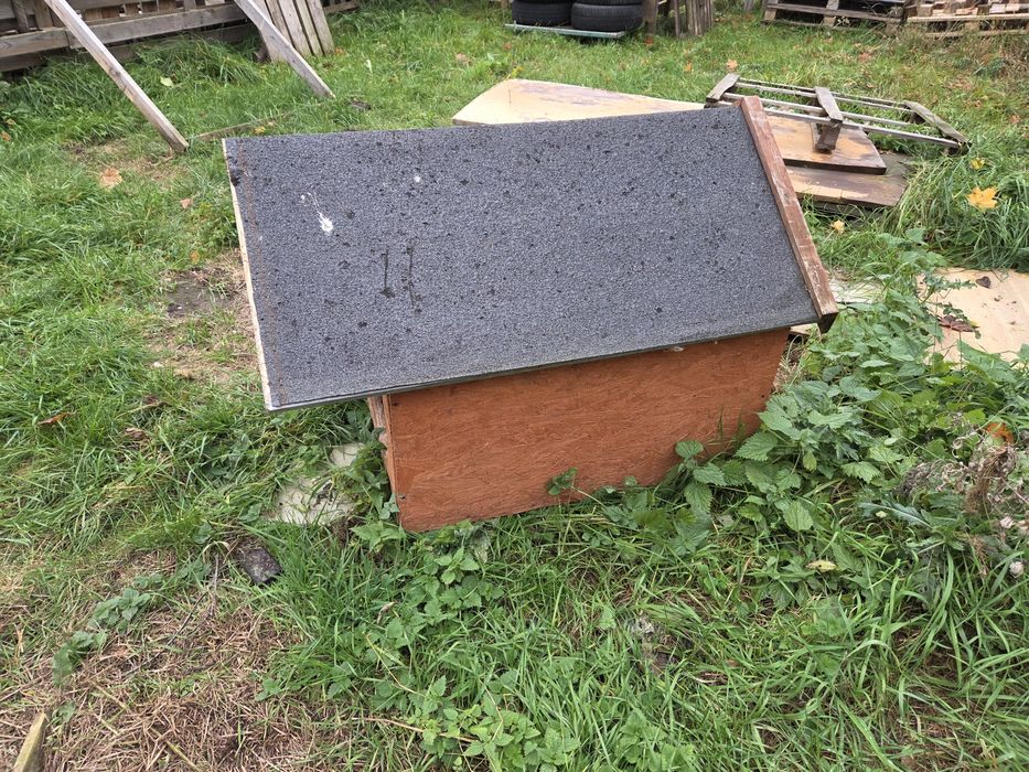 Buda dla psa na zime