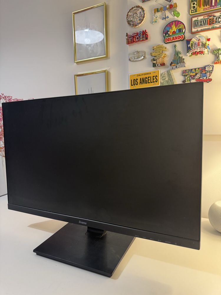Monitor iiyama G-master G2530HSU 24,5”