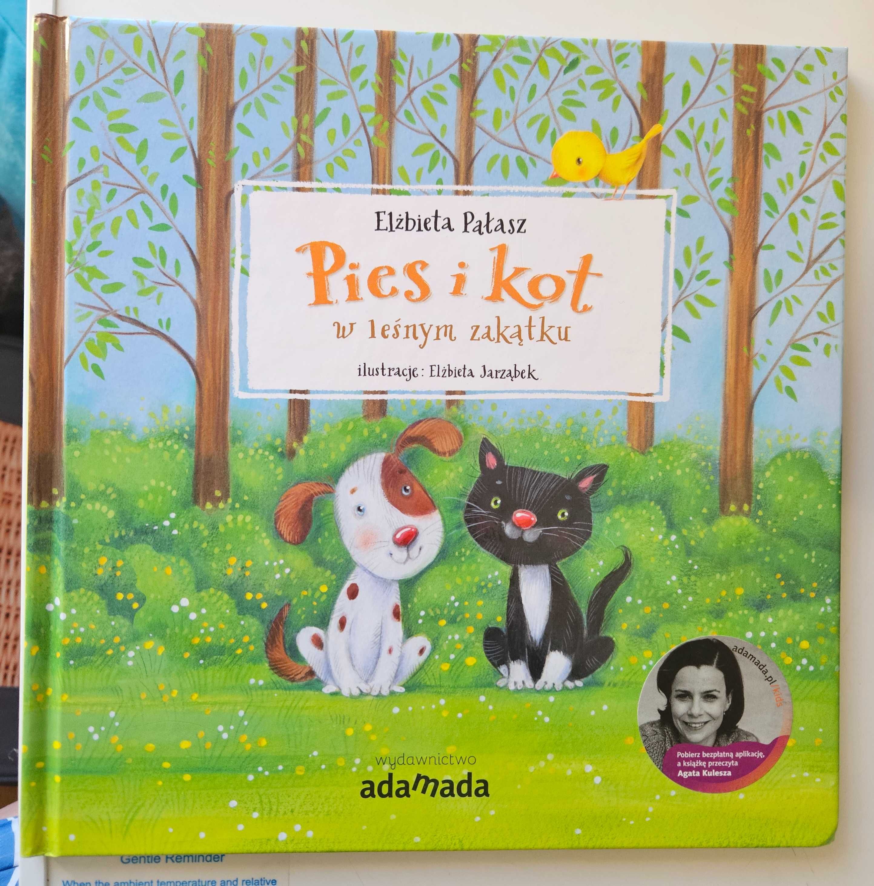 Pies i kot w leśnym zakątku