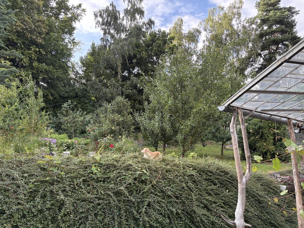 Dom wolnostojący Głuszyca Kolonia