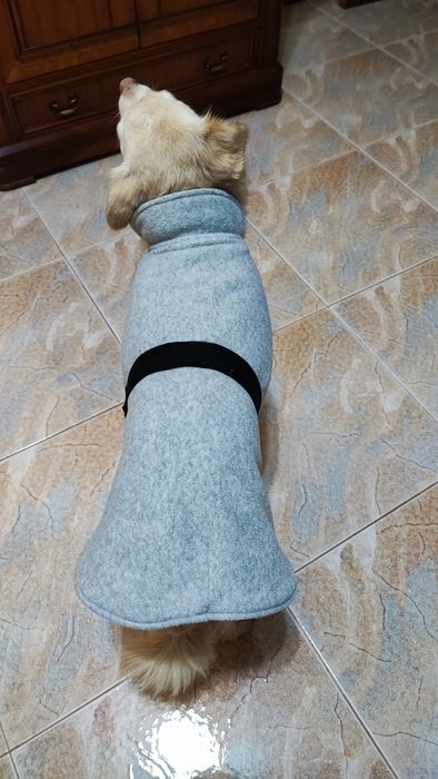 Capa para cão porte pequeno (até 10/11kg) - como nova