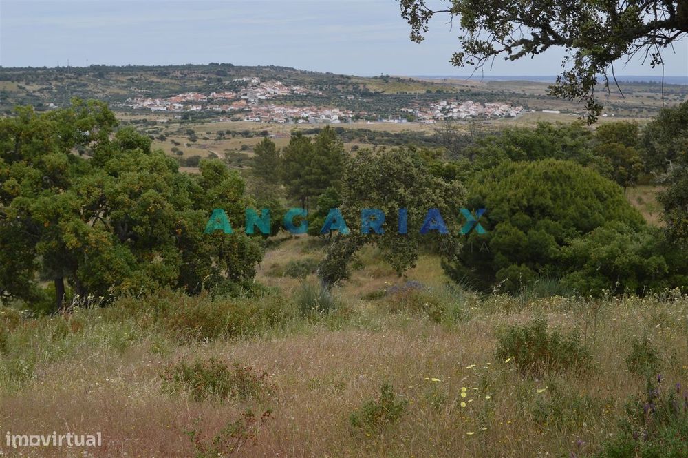 ANG256 - Terreno Rústico para Venda em Rosmaninhal