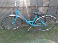 Rower damka Pegasus