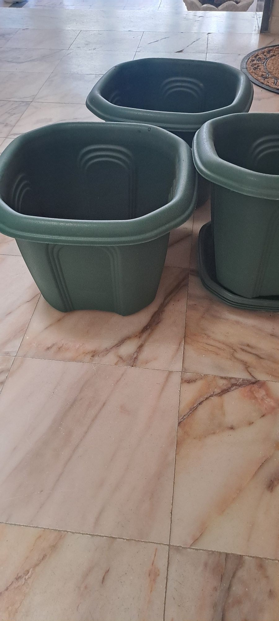Vasos de plantas