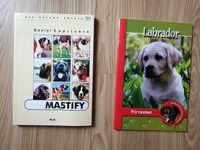 Rasy psów - Labrador, Mastify