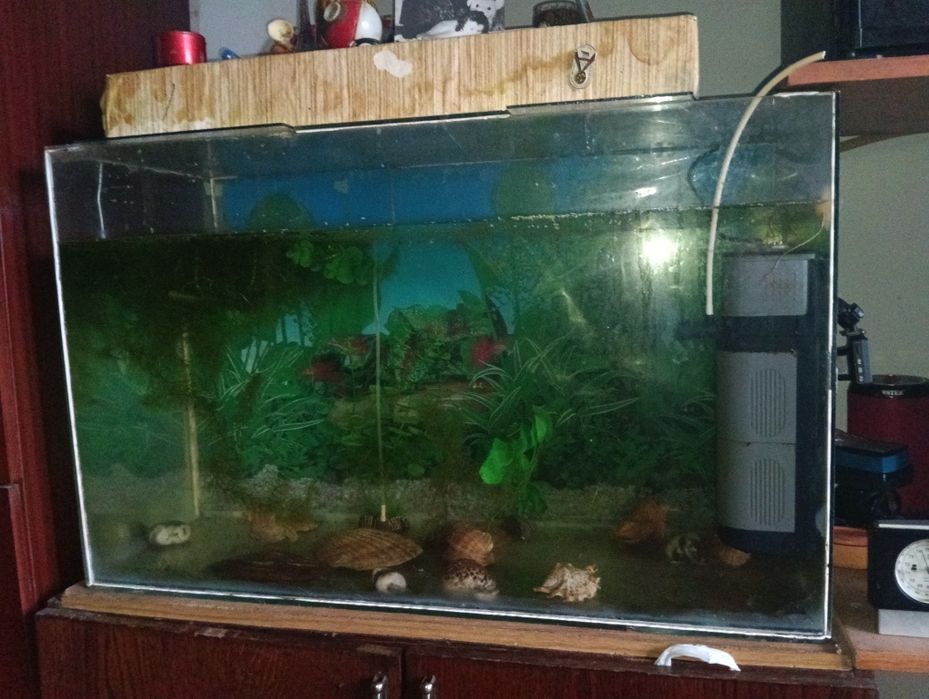 Продам акваріум б.в 170л