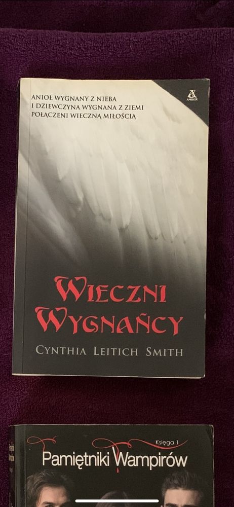 Książka „Wieczni wygnańcy” Cynthia Leitich Smith