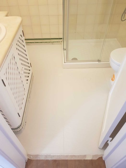 Precisa de Ajuda com Móveis, Pintura ou Reparos? Ligue Já!