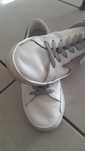 Tenis golden goose