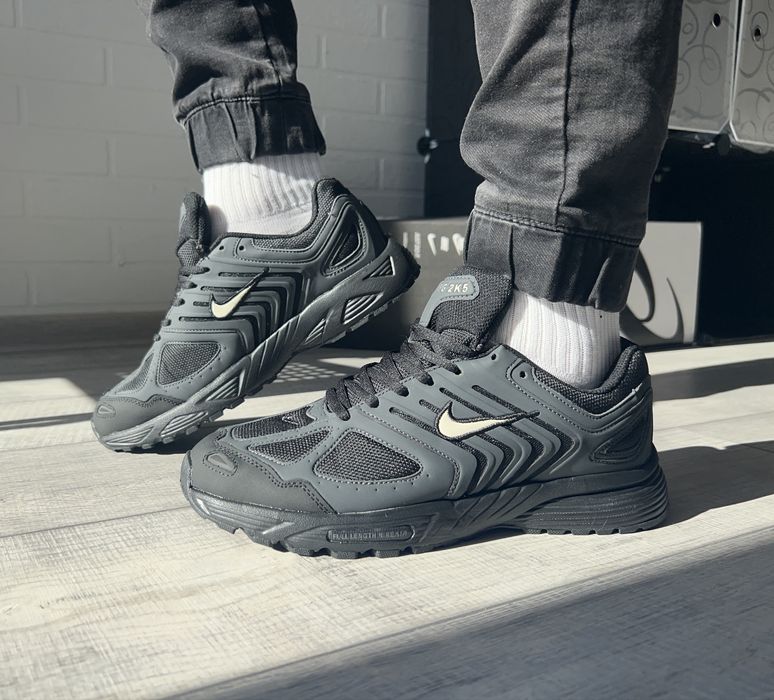 Кросівки Nike Gore-tex air Pegas 2k5 антиволога