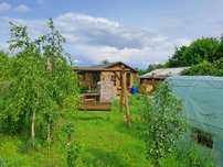 Działka ROD Jarzynka, sauna, domek drewniany