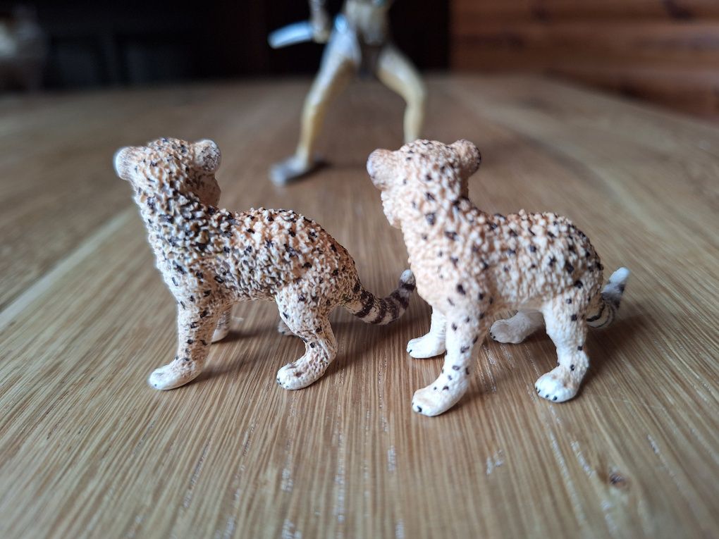 Zestaw gepardów Schleich: 2 młode gepardy plus wojowniczka Liassa