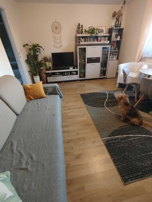 Pół bliźniaka w centrum Janowic Wielkich