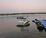 Barco Bayliner 2010