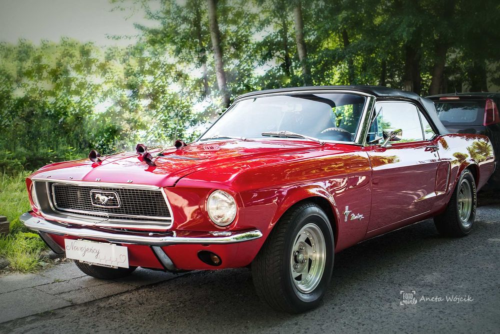 Ford Mustang do ślubu / samochód / kabriolet / klasyk / cabriolet