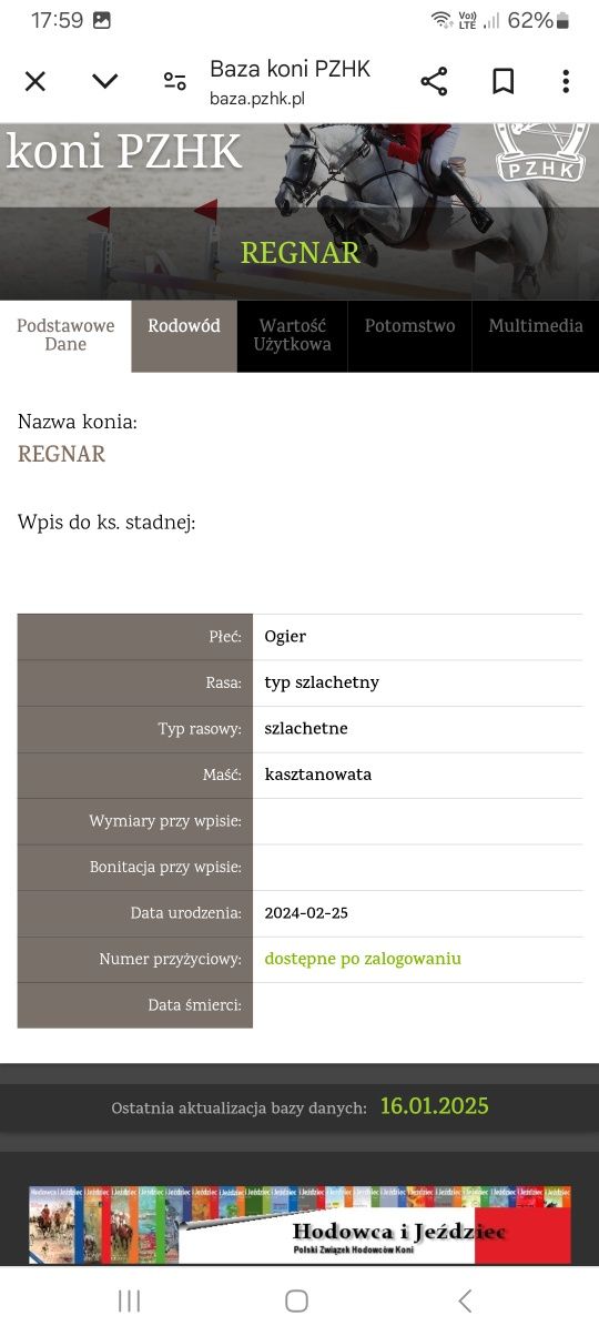 Ogierek z 25.02.2024r