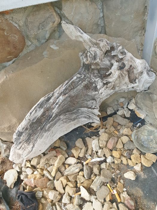 Korzeń akwariowy duży