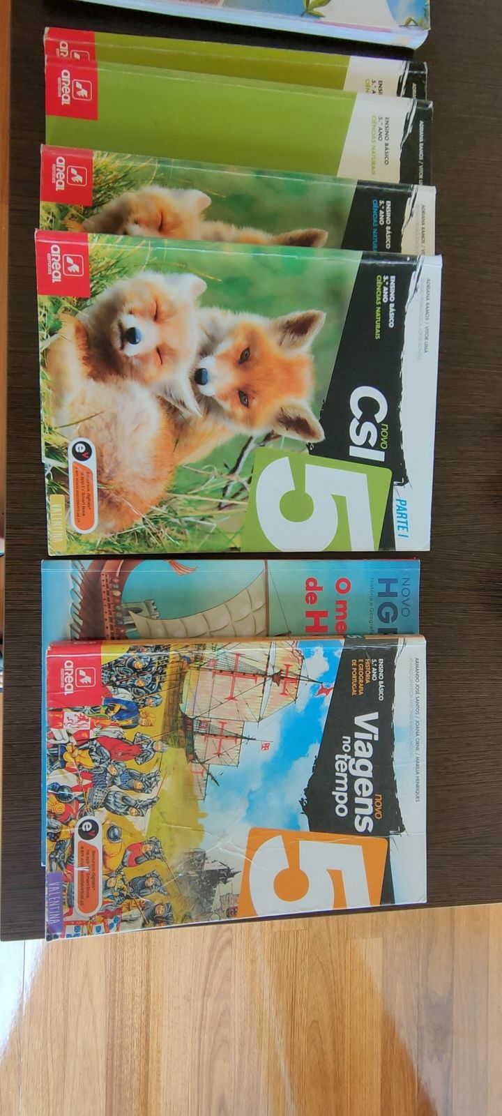 Livros escolares Areal 5 ano