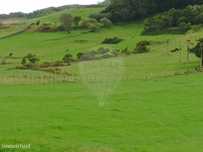 Terreno  para venda