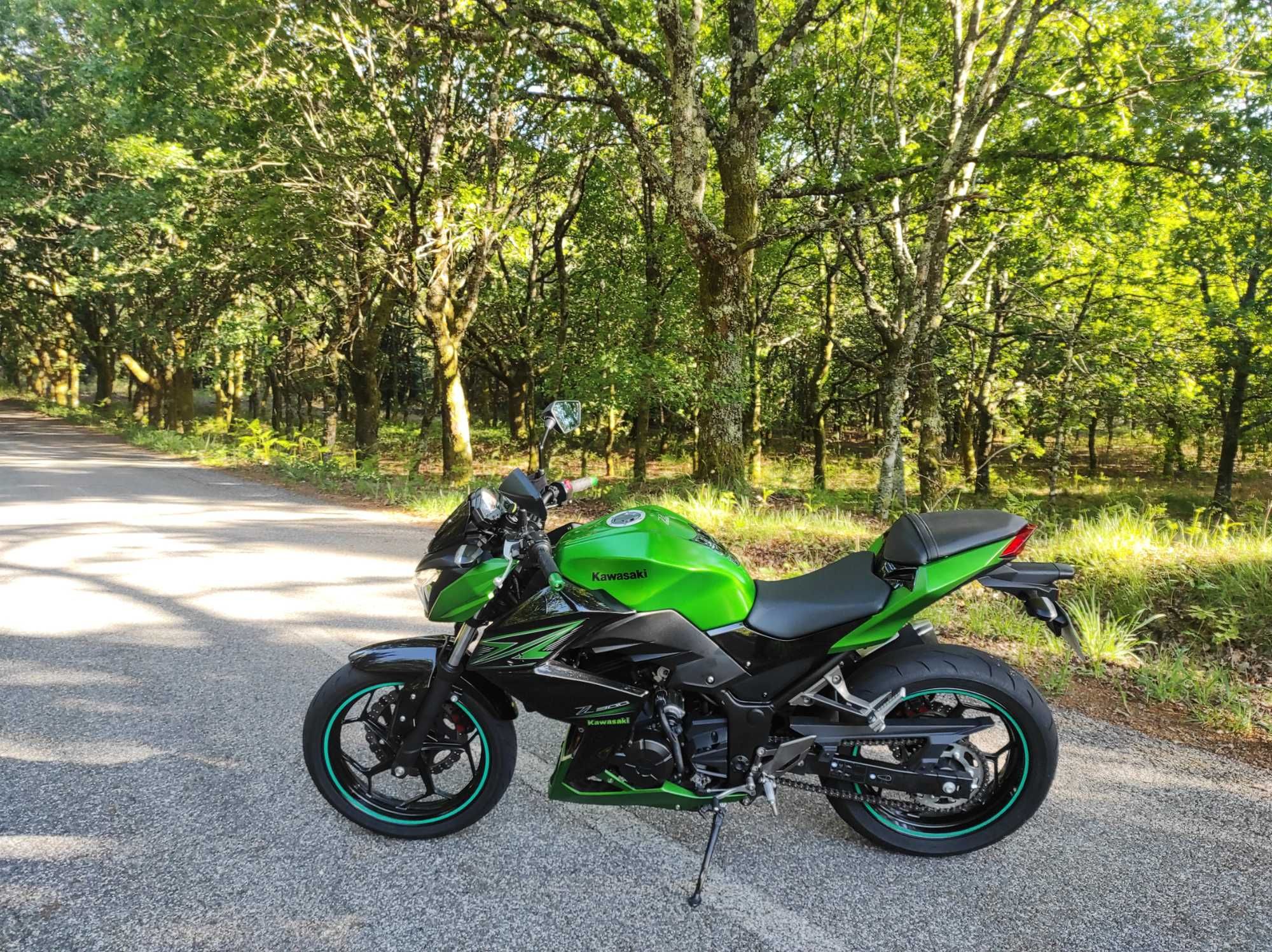 Kawasaki Z300 A2 35kw