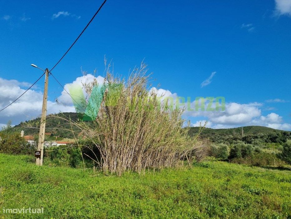 Terreno Rústico Plano com Fácil Acesso em São Bartolomeu de Messines