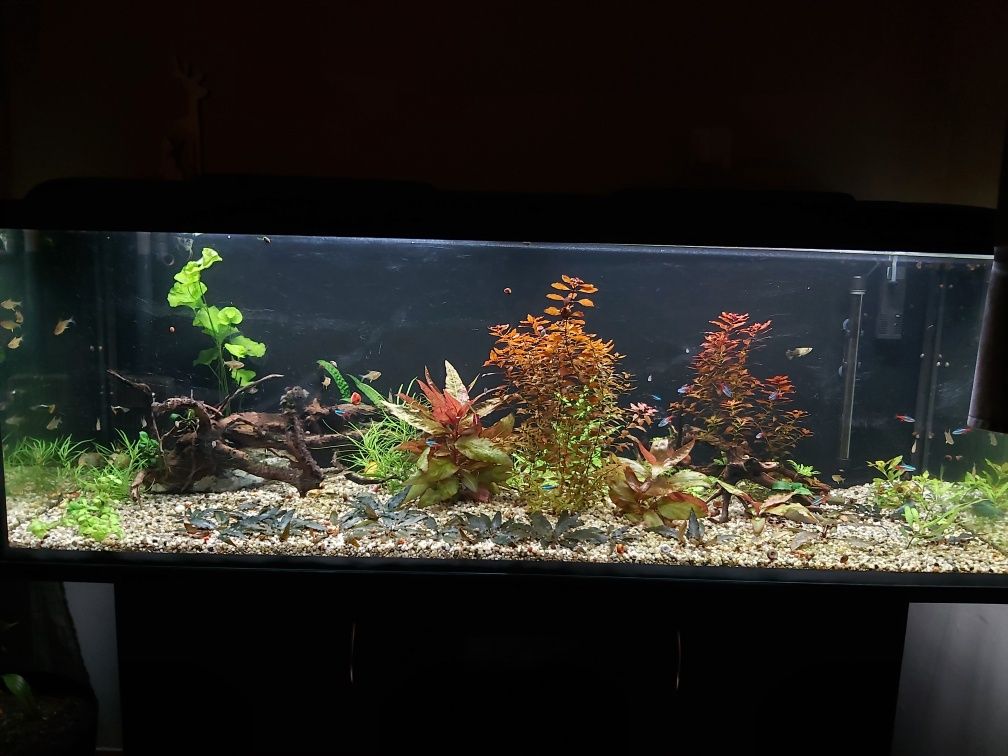 Pokrywa do akwarium 150x50[cm] z oświetleniem LED