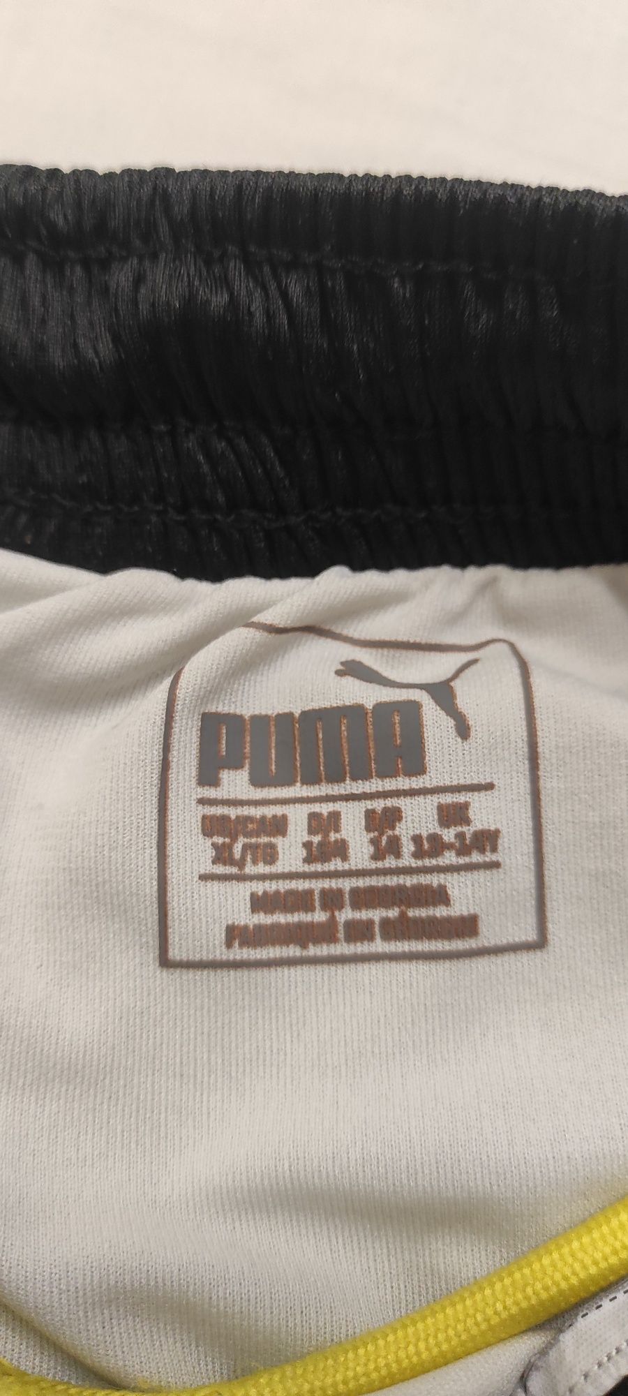 Шорты футбольные Puma