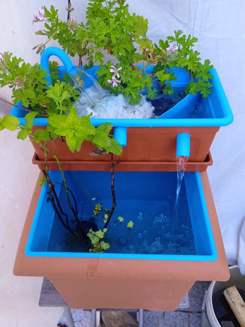 Mini lago de 35 litros