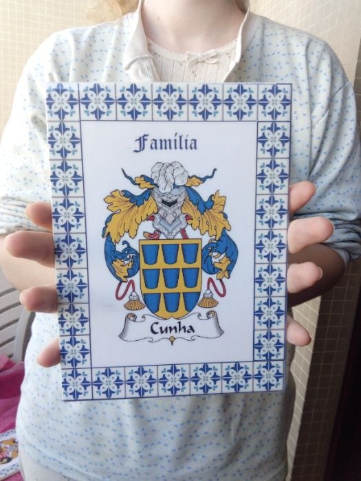 Brasões de família em azulejos cerâmicos portugueses