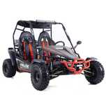 RATY! Asix Buggy 200cc 2025