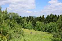 Piękna działka na wynajem - góry, jezioro, Beskid Makowski