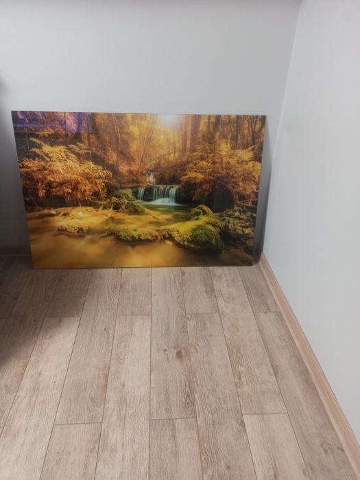 Obraz na ścianę szklany