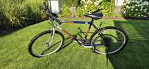Rower Wheeler New Yorker koła 26 cali